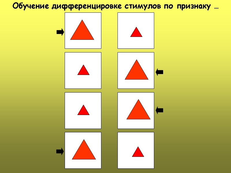 Обучение дифференцировке стимулов по признаку …